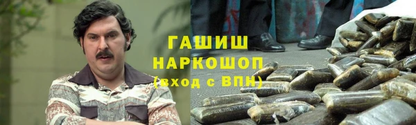 индика Медногорск