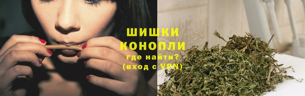 ешки Арсеньев