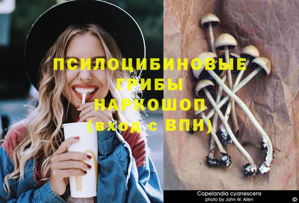 ешки Арсеньев