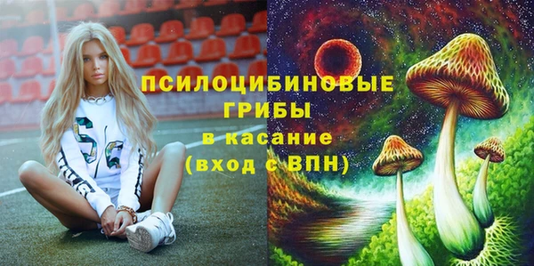 прущая мука Аркадак