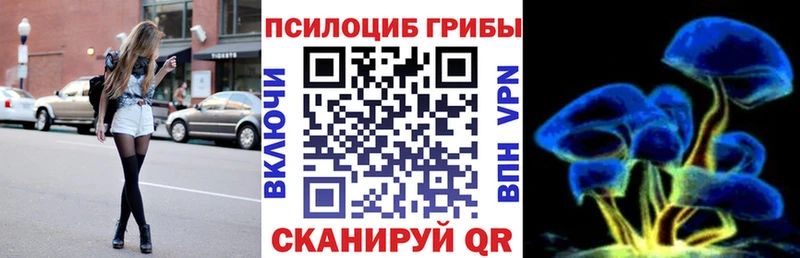 Псилоцибиновые грибы Psilocybe  Кущёвская 